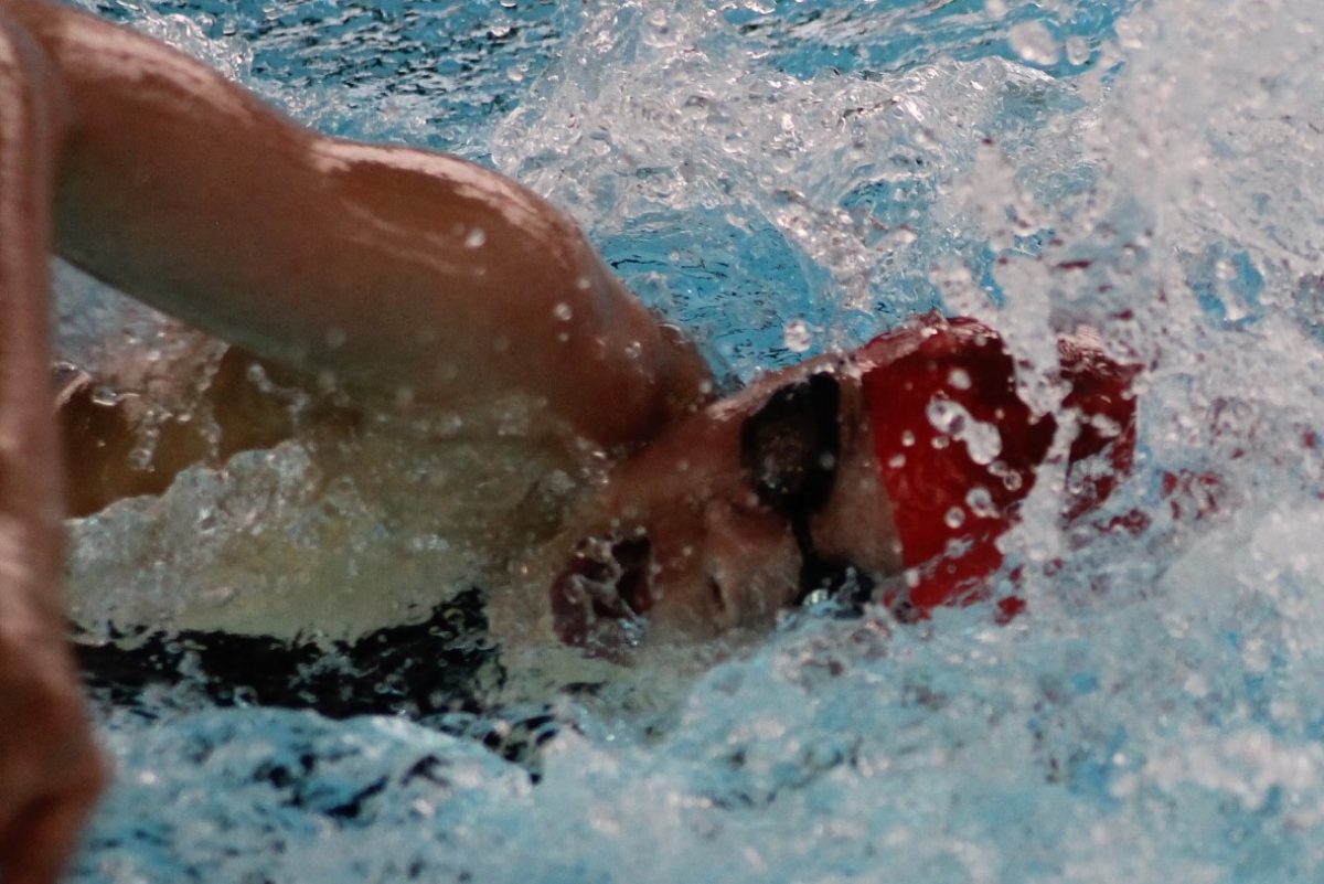 Neptun Schwimmfest 2018